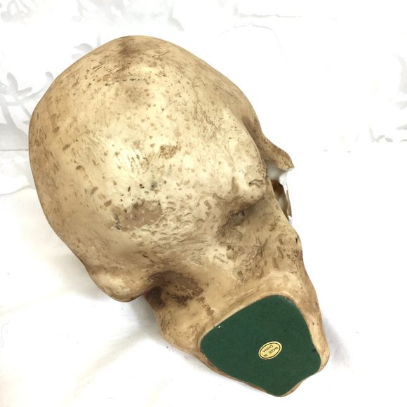 Vampire Skull Halloween Decor broken cheekbone  NOS NWT - Picture 6 of 7